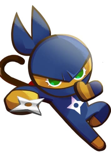 Ninja Cookie