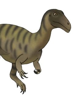 Noasaurus