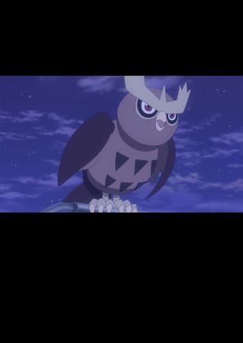 Noctowl