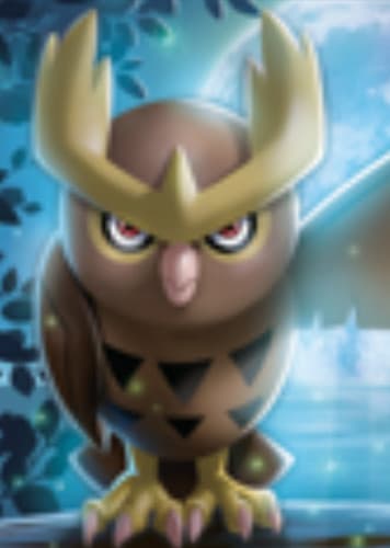 Noctowl / ヨルノズク