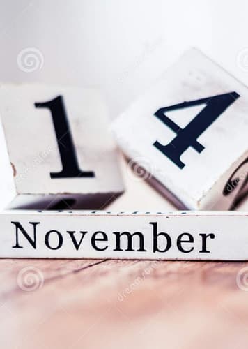 November 14