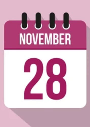 November 28