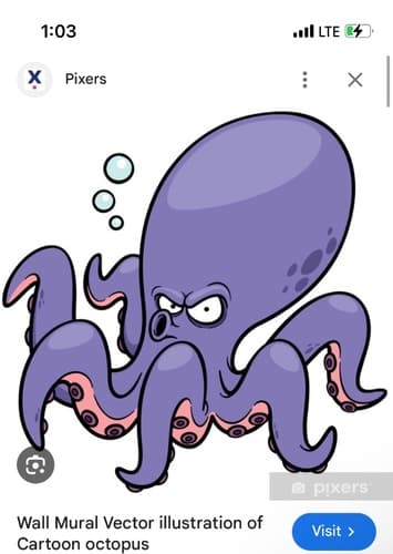 Octopus cartoon