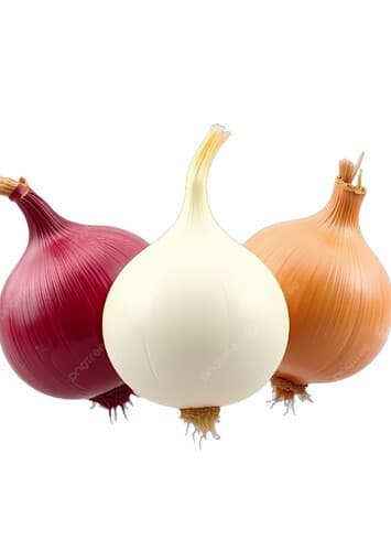 Onion