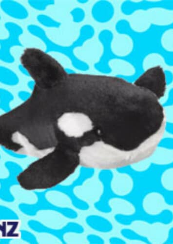 Orca Whale
