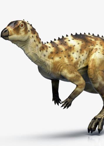 Oryctodromeus