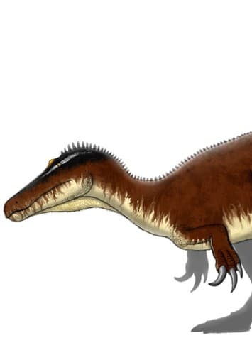Ostafrikasaurus