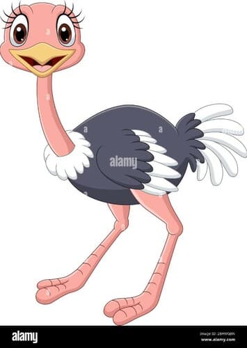 Ostrich