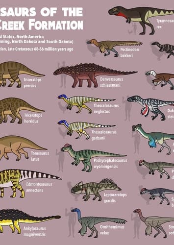 Other Hell Creek Creatures