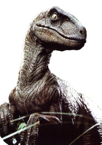 Other Velociraptors
