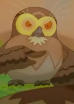 Owl