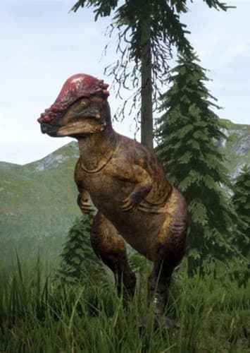 Pachycephalosaurus