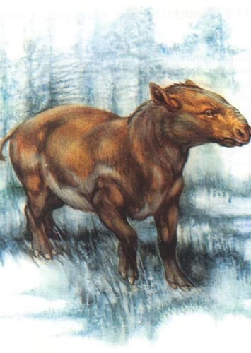 Palaeotherium