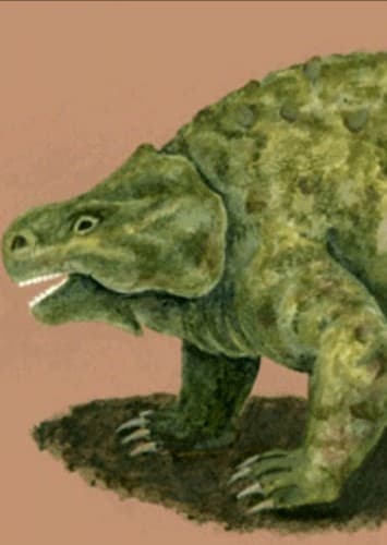 Pareiasaurus