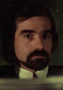 Passenger Watching Sillhouette