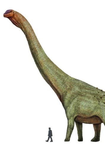Patagotitan