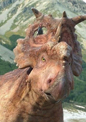 Patchi The Pachyrhinosaurus