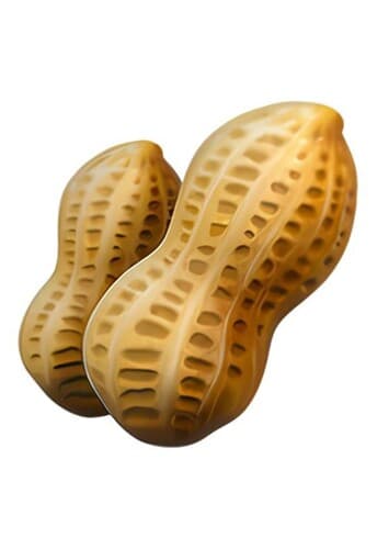 Peanut
