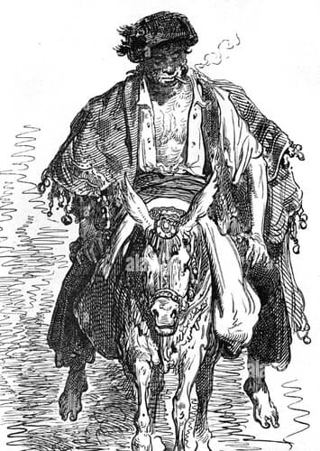 Pedro the Muleteer
