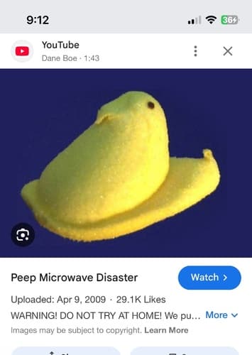 Peep microwave disaster