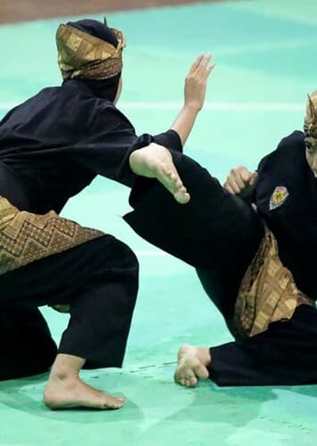 Pencak Silat