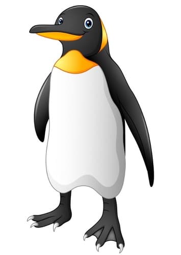 Penguin