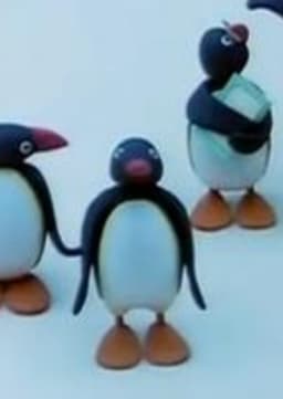 Pengy