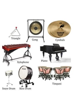 Percussion