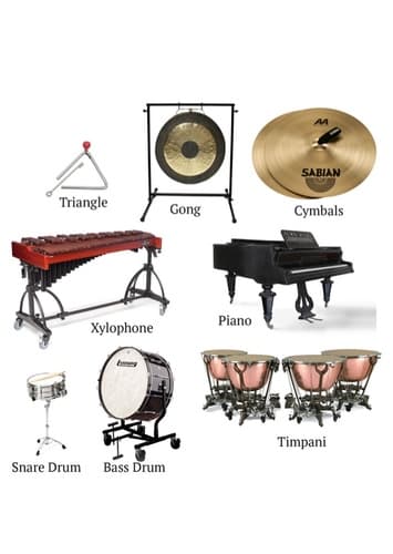 Percussion