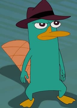 Perry the platypus