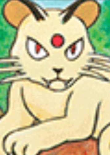 Persian / ペルシアン