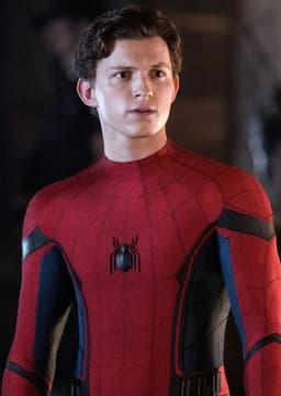 Peter Parker Spider Man