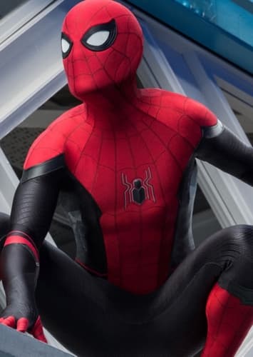 Peter Parker / Spider-Man