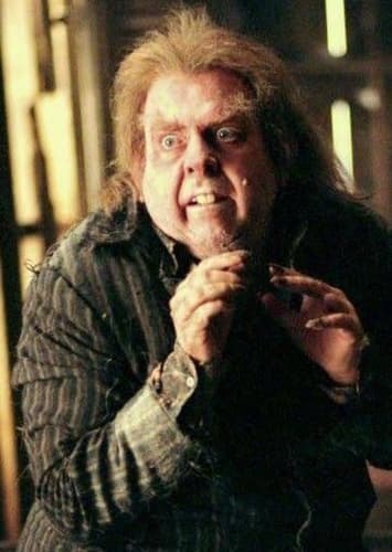 Peter Pettigrew