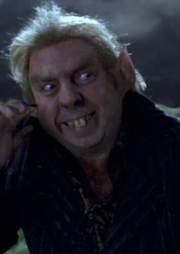 Peter Pettigrew