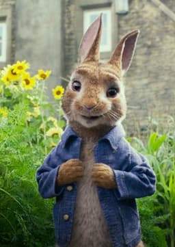 Peter Rabbit
