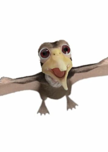 Petrie