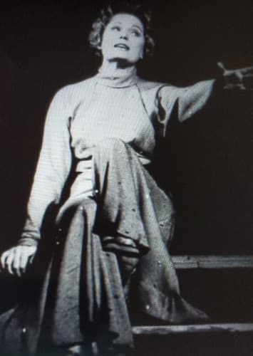 Phyllis Rogers Stone