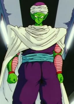 Piccolo