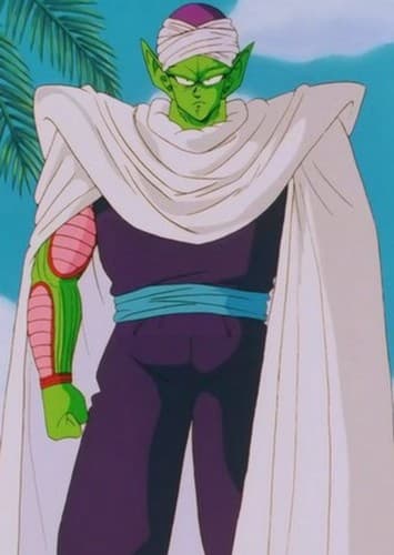 Piccolo Jr.
