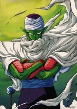 Piccolo Jr