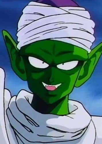 PICCOLO JR