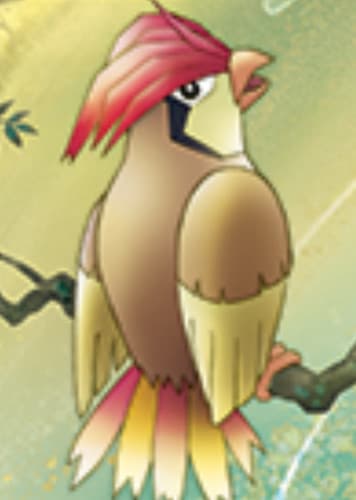 Pidgeotto / ピジョン