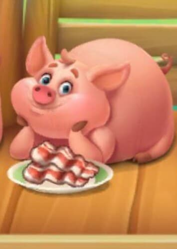 Pig