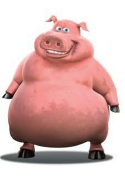 Pig