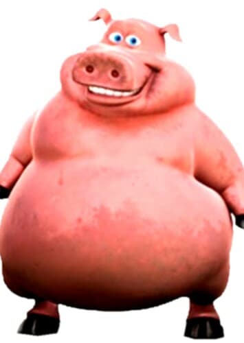 Pig