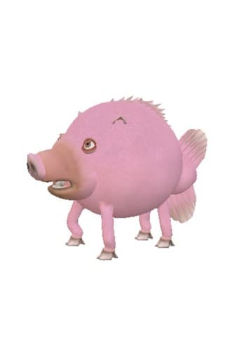 Pig