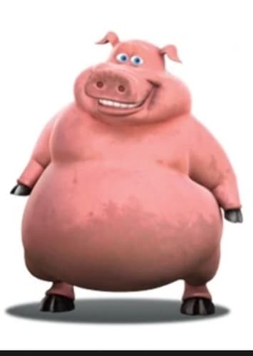Pig