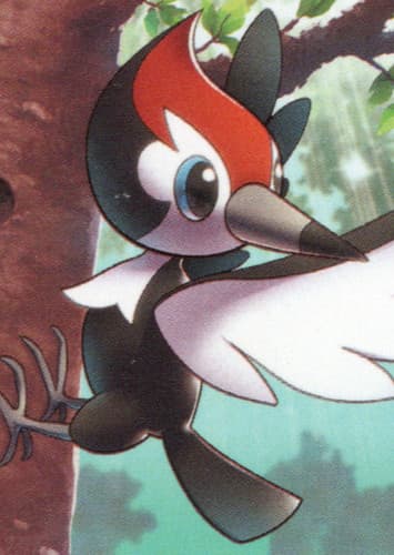 Pikipek / ツツケラ