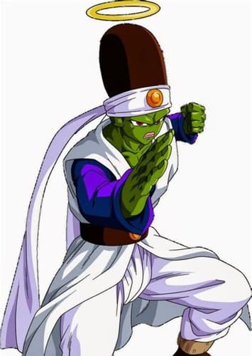 Pikkon